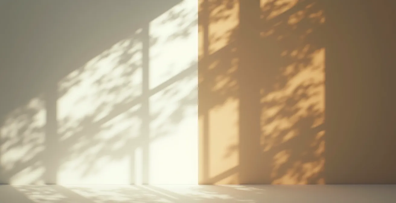 Comparaison visuelle de la vision avec et sans filtre brun polarisant, montrant la réduction des halos lumineux